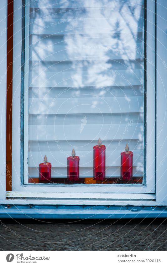 Advent candles in the window shoulder stand advent candle Christmas christmas time xmas Decoration decoration Window Window board Burn Venetian blinds