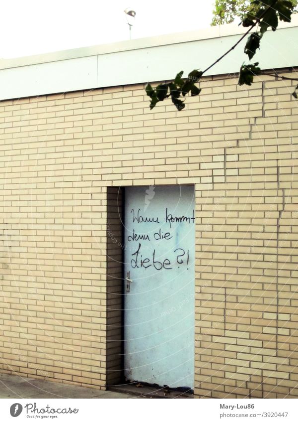 Door with saying "When will love come?" Love door street art graffiti typography Wall (building) Wall (barrier) urban Town Exterior shot When is love coming?