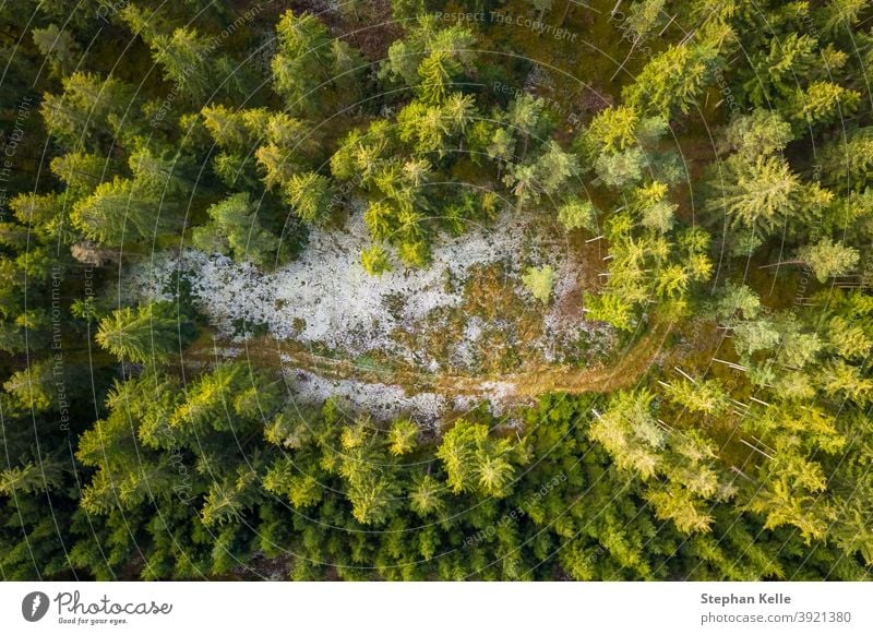 Aerial view of snowy forest with a little country road. Captured from above with a drone tree winter nature aerial pine landscape outdoor ice cold season white