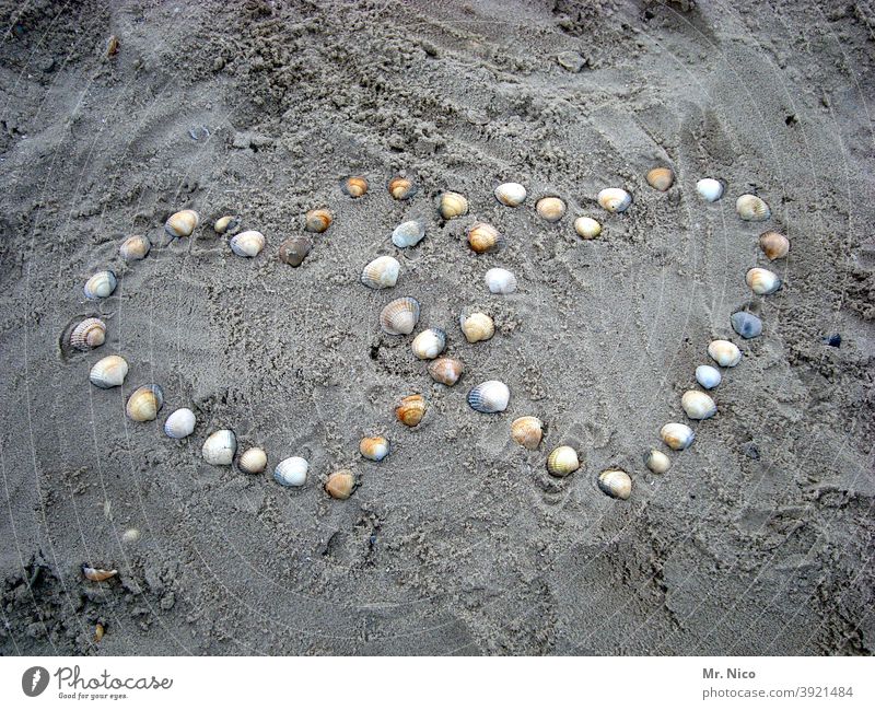 conform I heart in heart Heart symbol Beach seashells Romance Infatuation Love Sincere Sign Display of affection Heart-shaped Declaration of love Sandy beach