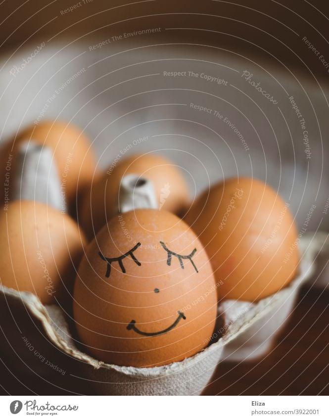 Egg with painted face in egg carton. Easter. Face Eggs cardboard Painted smilingly Easter decoration Easter egg Brown contented fortunate eggs