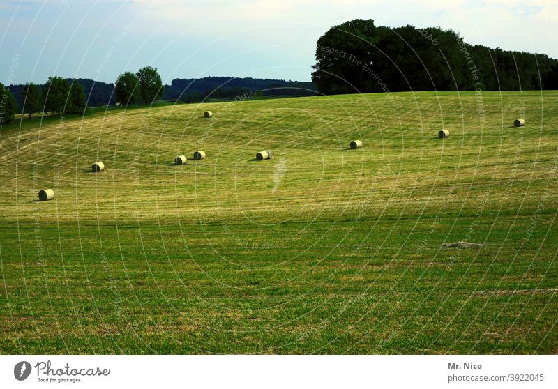 Round bales of straw in a meadow in a hilly landscape. Álava Province,  Basque Country, Spain - a Royalty Free Stock Photo from Photocase