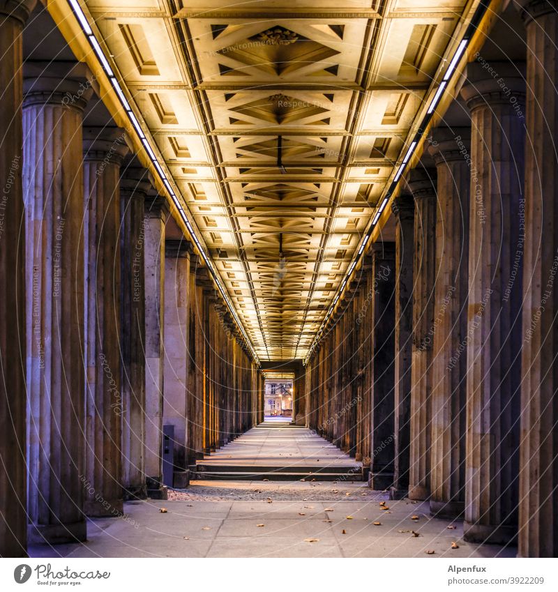 tunnel vision Tunnel vision Central perspective Deserted columns portico Architecture Colour photo Symmetry Tourist Attraction Berlin Manmade structures