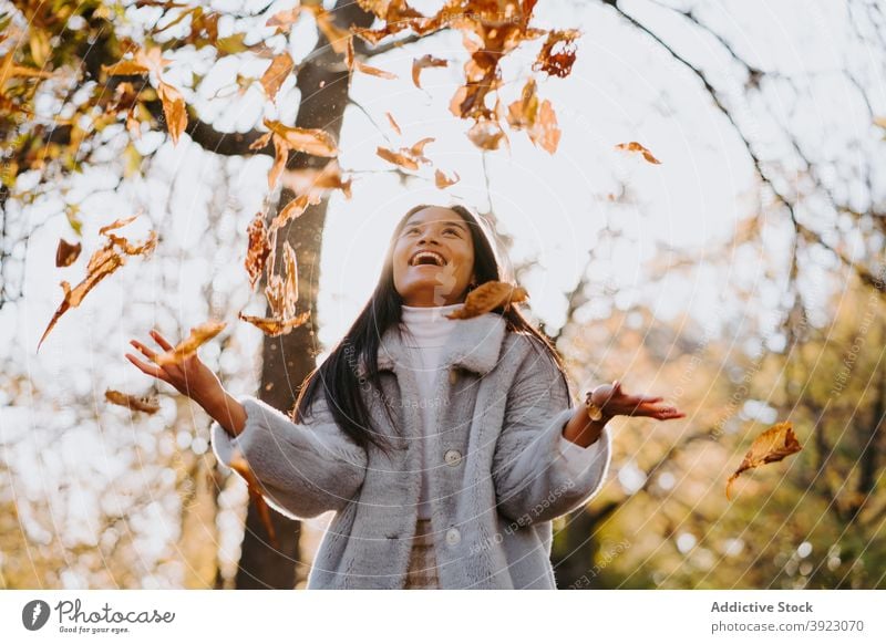 Delighted ethnic woman tossing leaves in autumn park leaf fall foliage cheerful carefree having fun female warm coat sunny season joy young optimist glad trendy