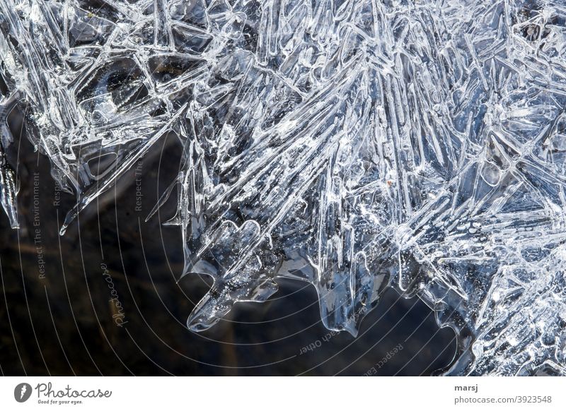 Ice structures on a puddle Structures and shapes ice structures Frozen Cold Winter Abstract Nature Frost Subdued colour Frozen surface naturally Bird's-eye view