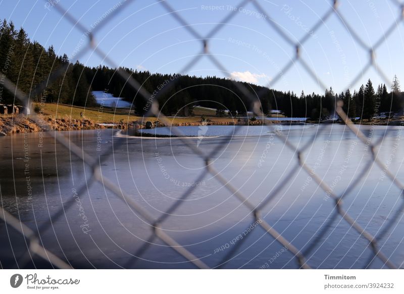 Looking through the fence at the cold lake Fence Wire netting fence Lake Cold Ice Winter Forest Black Forest Sky Blue