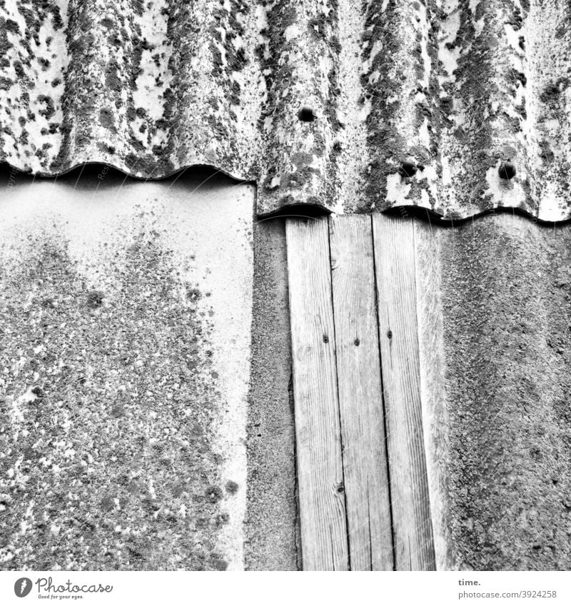 4eyes | !Trash! 2020 Corrugated sheet iron Gray overlap Wall (building) shack makeshift wooden slats asbestos roofing felt patchwork Protection Shadow
