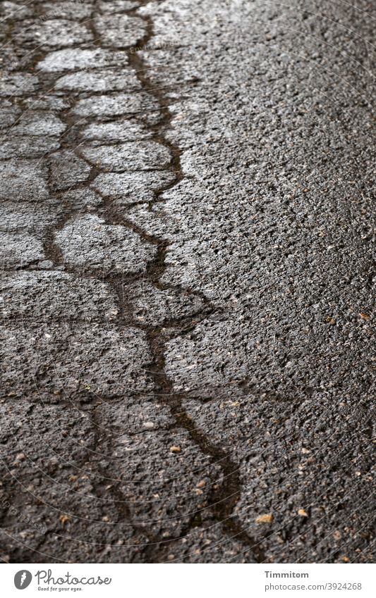 Lament of a desolate road Street Asphalt Traffic infrastructure Desolate cracks lines Damp Glittering