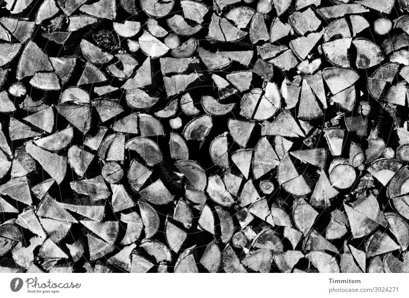 A Black Forest woodpile Wood Stack of wood Firewood Supply stacked Fuel Forestry Exterior shot Deserted Black & white photo
