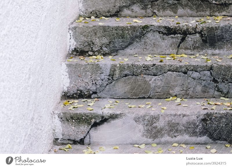 Autumn leaves on an old staircase made of stone and concrete, with many cracks Stairs Architecture Concrete Stone jumps Old Gray White house wall roughcast