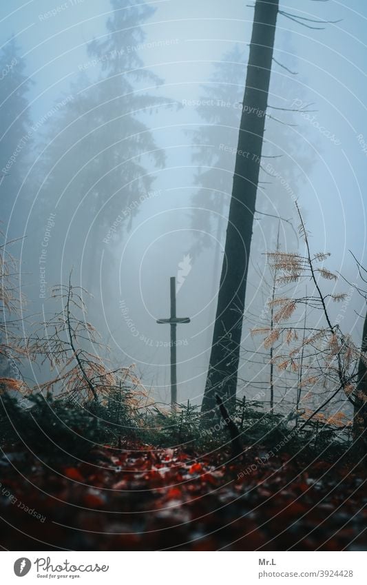 Cross in the forest Crucifix Religion and faith Christian cross Christianity Catholicism God Hope Jesus Christ Church Death Holy Symbols and metaphors