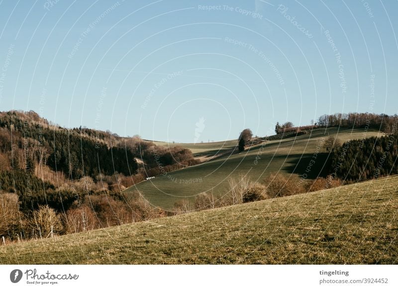 Landscape Sauerland Hiking Camping Discover Adventure Movement Nature trees Tree Meadow mountains Hill Curved flexed Green sky without clouds Weather naturally