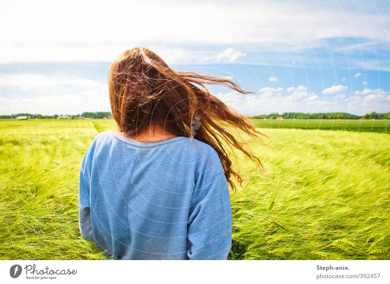 Where the wind takes them Feminine Young woman Youth (Young adults) Woman Adults 1 Human being Sky Clouds Summer Beautiful weather Wind Grain Grain field Field
