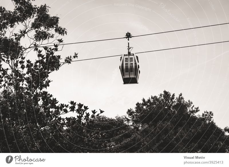 Cable car suspended over the trees in a park cable car transportation cables monochrome treetops exterior urban leaves garden abstract