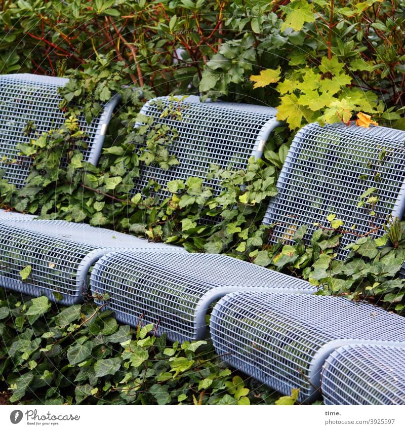 unshaven seats Bench Ivy Seating Green Art wax leaves bush overgrow Whimsical Occupying invasion Nature Metal Unkempt landart