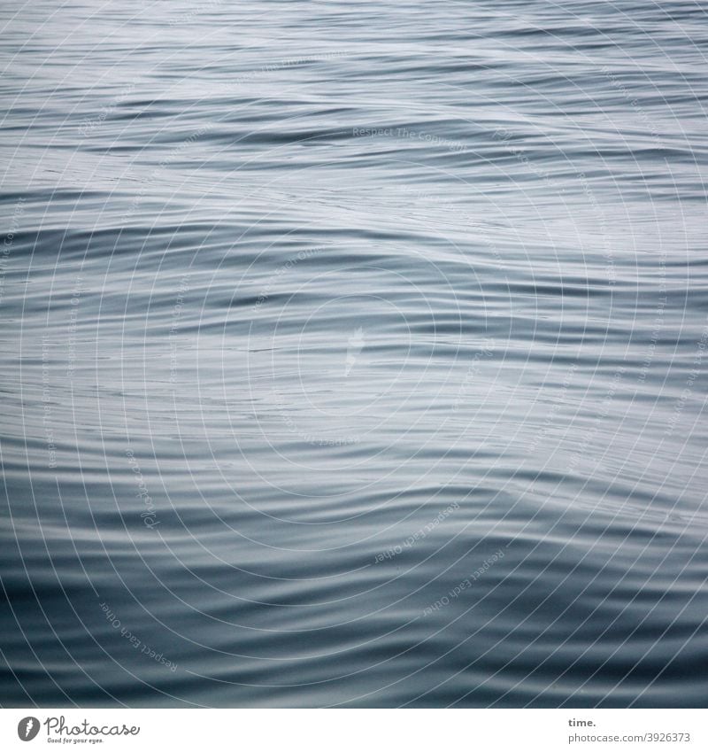 flow Waves Water Smooth Surface Wet Ocean Baltic Sea Pattern structure lines Blue Gray move Movement Flow Force mystery Nature element living livelihood