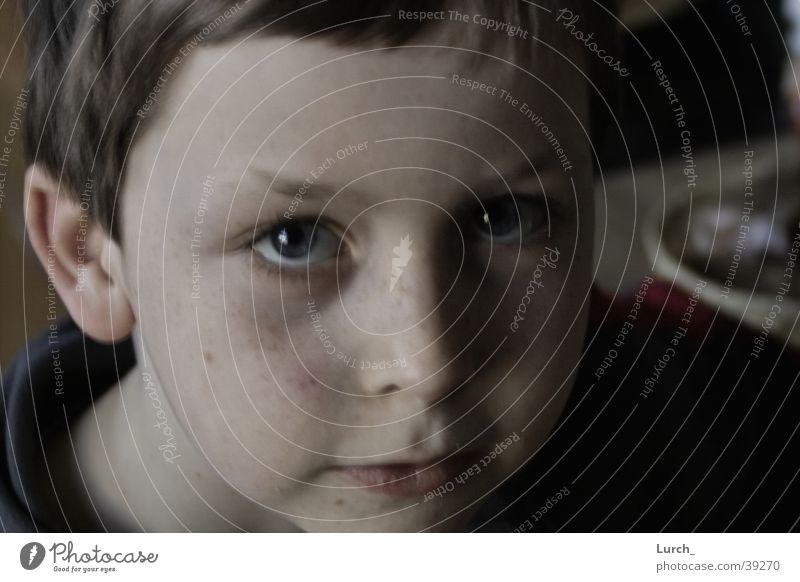Joseph S. Portrait photograph Children's eyes Face Head big eyes