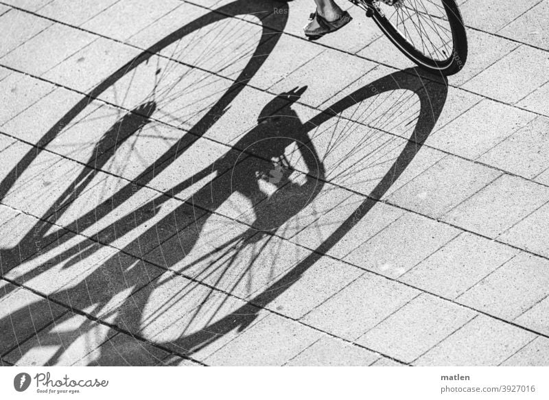 Tricycle and a foot Bicycle Feet pavement Light Shadow Black & white photo Exterior shot Street Day Transport Road traffic Contrast
