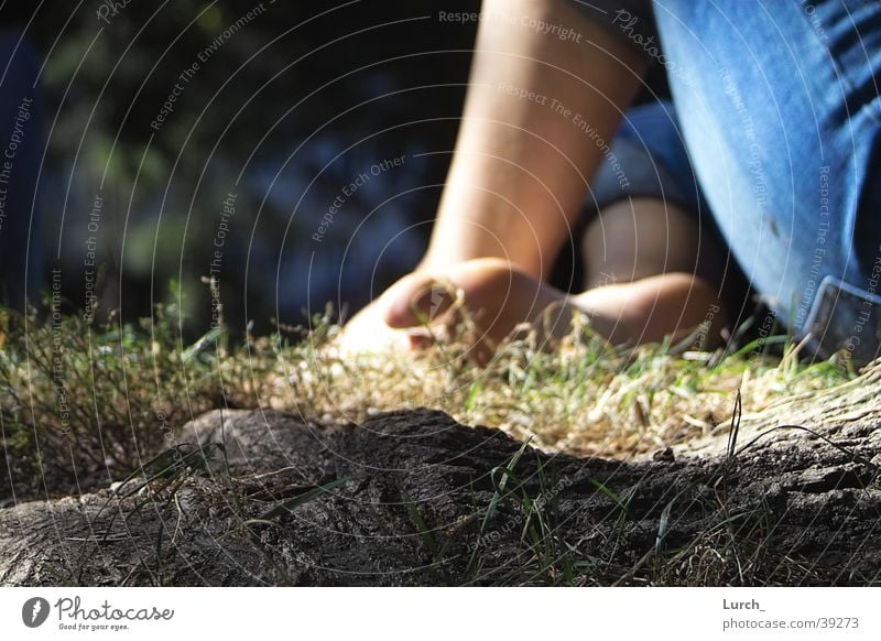 toe pain Toes Calm Meadow Depth of field Summer Root Sit Feet Barefoot