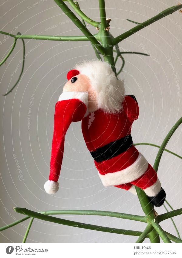 Santa Claus on his way to Christmas Eve . . . . . . Christmas party climbing scaffold Christmas tree queer Downward To hibernate red/white funny plant