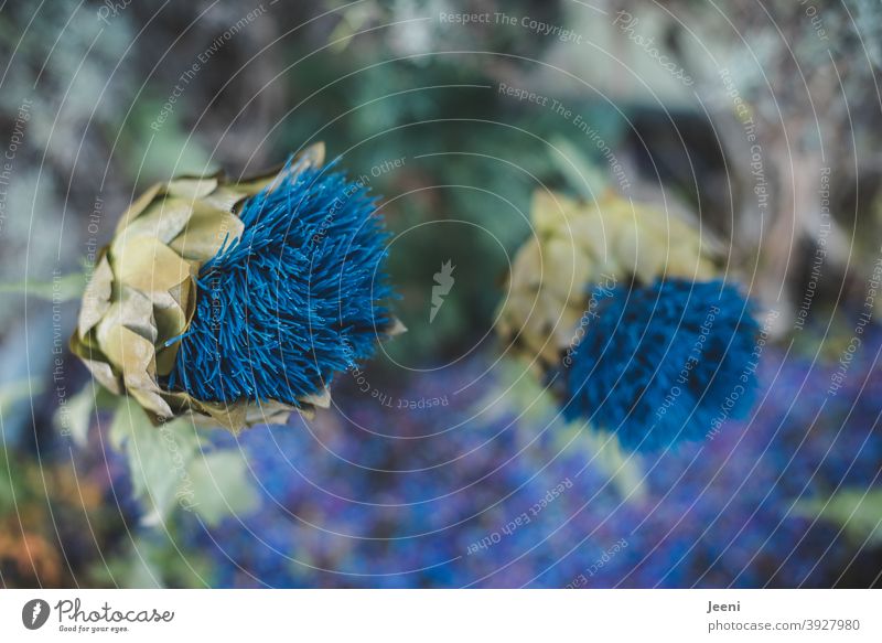 Blue flowers against soft background Flower Plant Blossom Trashy Decoration Artificial flowers