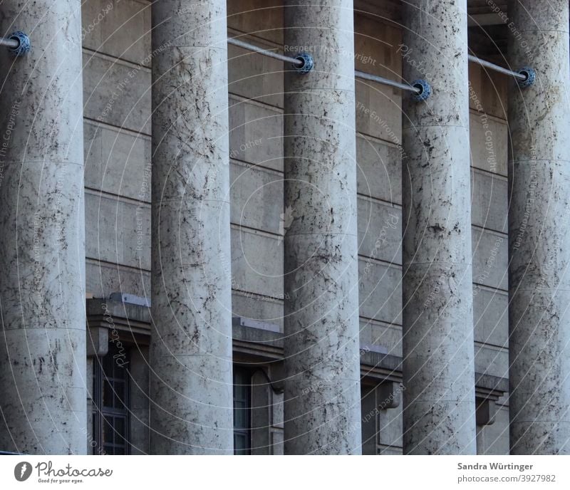 Grey Columns, House of Art columns Gray Winter Building Detail Architecture Deserted Exterior shot Manmade structures Colour photo Facade Wall (building)