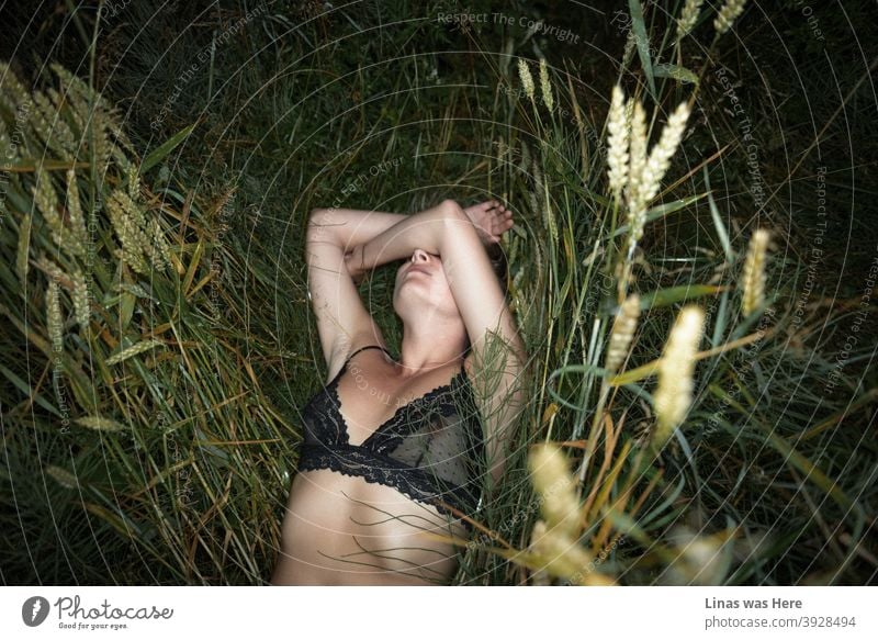 Greenfields on a summer night with a gorgeous girl lying in there. Dressed with bralette she is a wild temptation. The perfect female body and timeless nature is a mix that you can see right here.