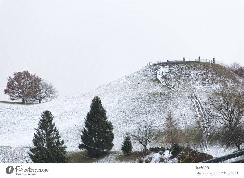 wintry, hilly park landscape with trees and light snowfall Park Winter mood Seasons Hill Wet foggy cloudy day Clouds Snow Landscape Panorama (View) Bad weather