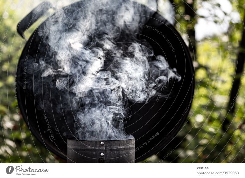 The barbecue is smoking in the garden Barbecue (apparatus) smoke Smoke kettle grill Fireside Garden BBQ Ignite Summer BBQ season Environment Nutrition