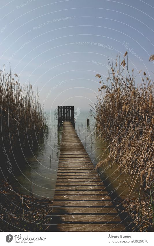 Pier, jetty and bathing areas, among the reeds, on Lake Garda or Benaco, between the Veneto and Lombardy regions. italy photography travel year 2006 country