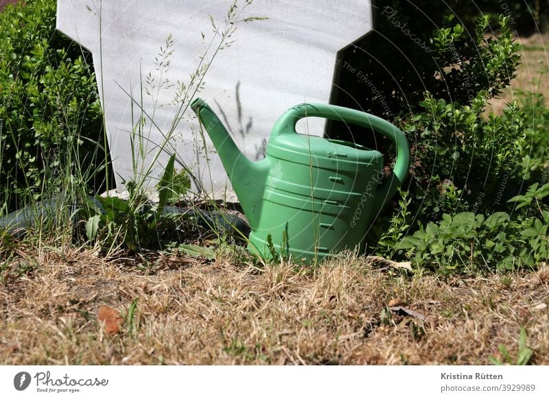 green watering can stands behind a tombstone Watering can cemetery watering can Green Grave Tombstone Rear side Cemetery Cast soak sprinkle watered Hedge Beech