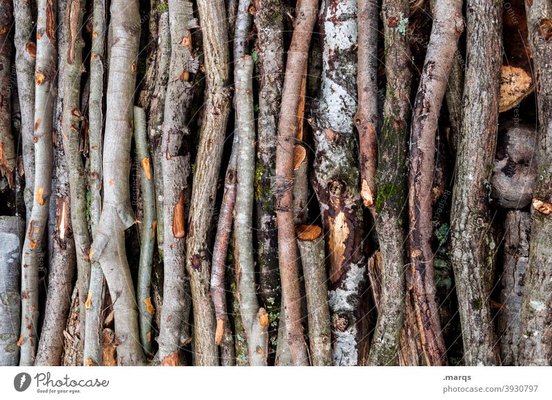 branches Many Branch Tree Wood Logging Heap Brown Collection Leafless naturally hardwood Dried abundance Environment Timber Stack of wood Twigs and branches