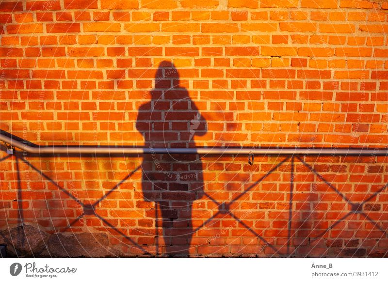 My shadow and a wall - brick, shadow and railing Brick Brick wall bricks Red Wall (building) Wall (barrier) Building stone Shadow Silhouette fiery red