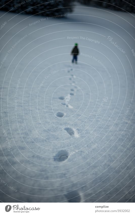 Tracks in the snow Snow Animal tracks Pursue Winter Powder snow White Walking Hiking outdoor Forest Cold Footprint pass Chase somber Swabian Jura