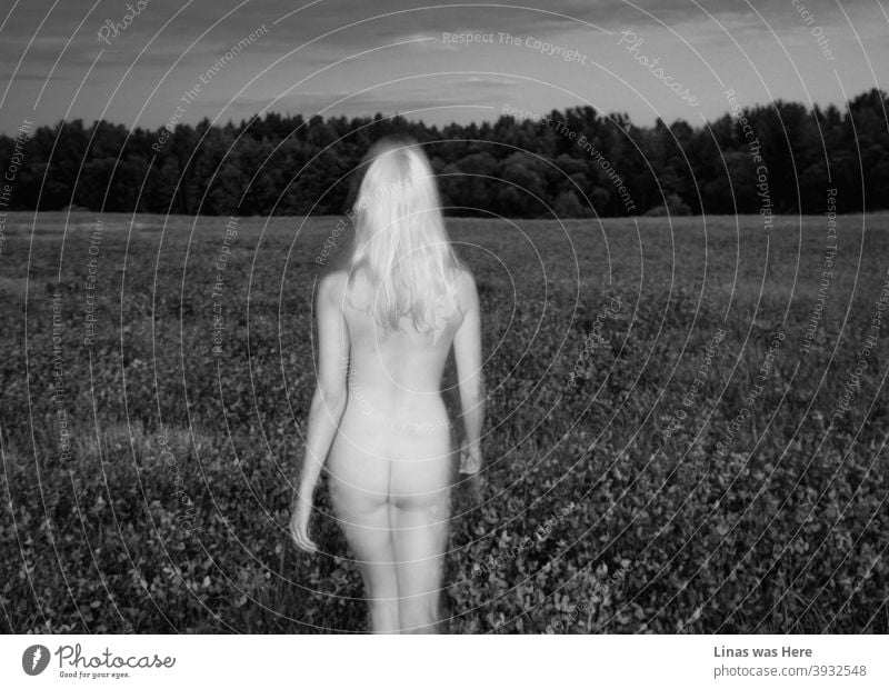 A naked blonde girl is walking down these endless fields in black and white. Sexy back with lots of nudity is the main theme right here. A memory of a summer long gone.
