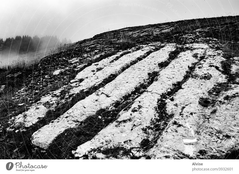 ancient rock bnw asiago vicenza europe italy plateau rugged path pathway long wilderness travel trail track tourism terrain karst hills formation far farming