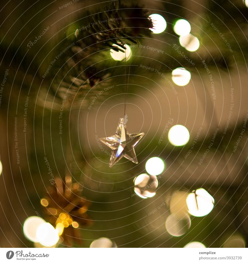 Glass star on Christmas tree Angel Decoration glossy Fir tree Fir branch needles Glitter Ball Christmas tree decorations Fairy lights embellish