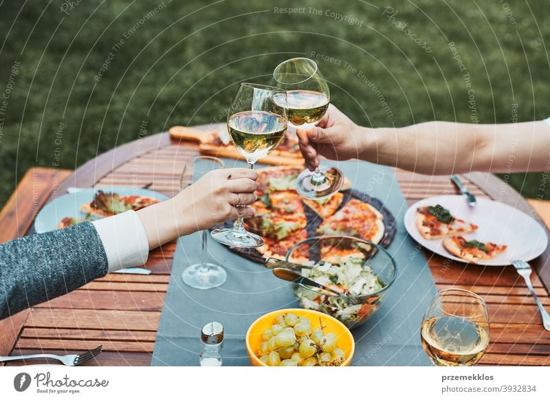Friends making toast during summer picnic outdoor dinner in a home garden backyard beverage celebration dish drink eating family feast food friends fun