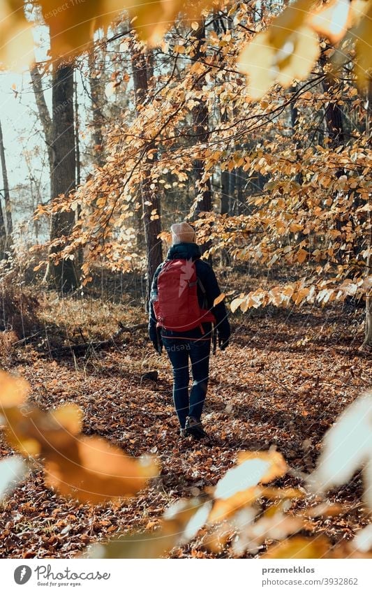 Woman with backpack wandering in a forest on autumn sunny day active activity adventure backpacker destination enjoy exploration explore fall female hike hiker