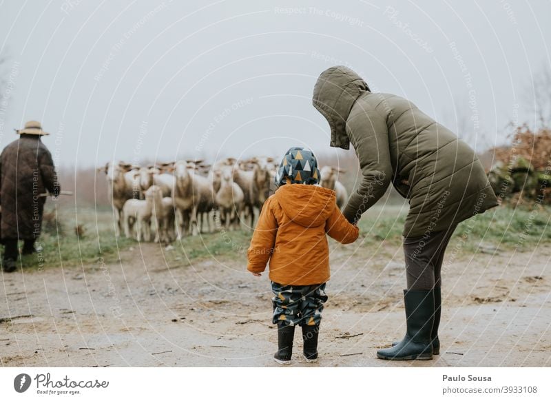 Mother and daughter watching sheeps motherhood Child Sheep travel Authentic Winter Together Family & Relations Love Happy Lifestyle Caucasian Woman care
