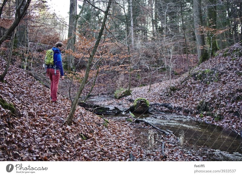 Forest with man with backpack Idyll Brook bachlauf Homey Nature Exterior shot Landscape Water Calm foliage watercourse Autumn hike autumn hike Man Red