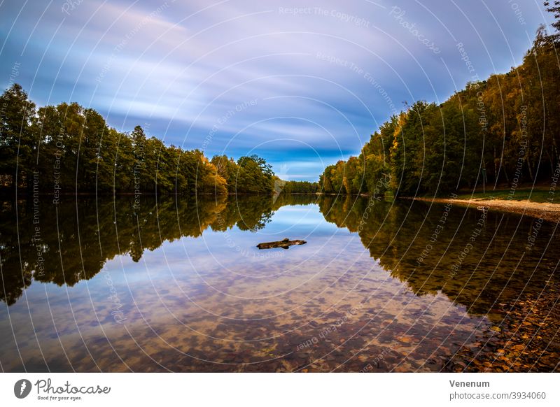 Long exposure at a small lake in autumn Forest Tree forests trees Leaf Nature Colour Holiday season Germany meteorological leaf fall Northern hemisphere Autumn