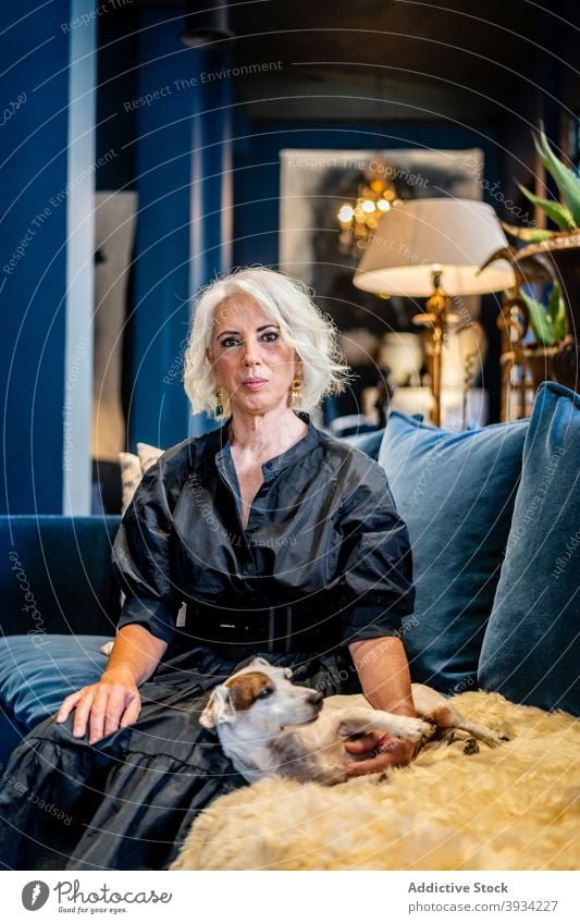 Stylish middle aged woman with dog resting on sofa elegant at home style vintage relax pet female mature charming couch lifestyle comfort together cozy domestic
