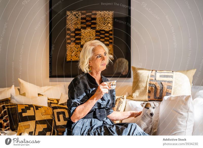Woman with dog drinking coffee on sofa woman rest elegant style at home pensive peaceful mature female cozy couch relax tranquil pet lifestyle tea comfort calm
