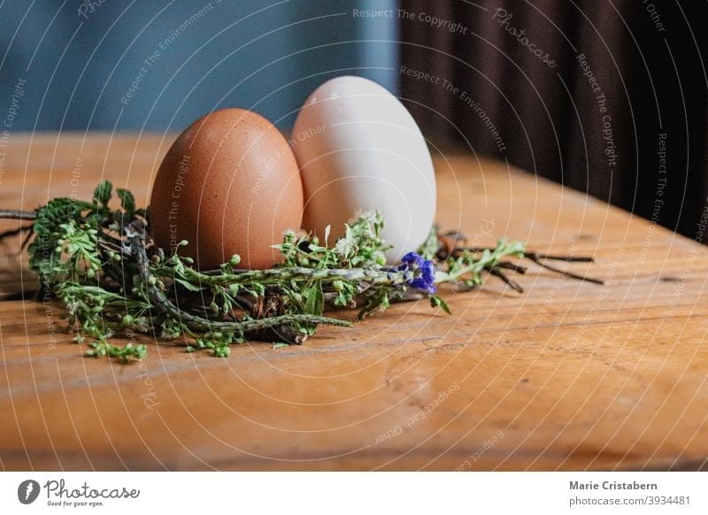 Brown and white egg on a nest of flowers as decoration for the coming Spring and Easter spring season easter easter egg traditional holiday springtime