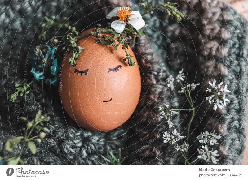 Close up of an egg with a flower crown as a decoration and symbol for Easter and the coming of Spring Season easter egg easter holiday springtime cute april