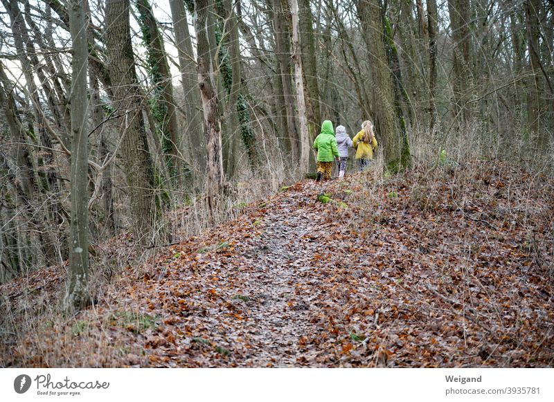 Children on hike Forest Parenting children three Family Brothers and sisters Discover Autumn Winter Lanes & trails
