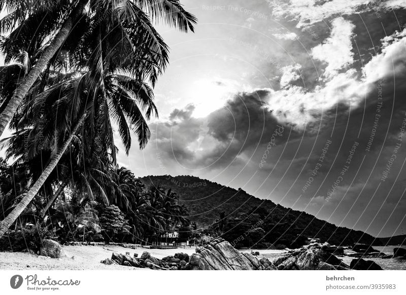 rain and sunshine Sun Rock relax recover To enjoy Longing Dream island Sunlight Exterior shot especially Deserted palms tranquillity Gorgeous Contrast Paradise