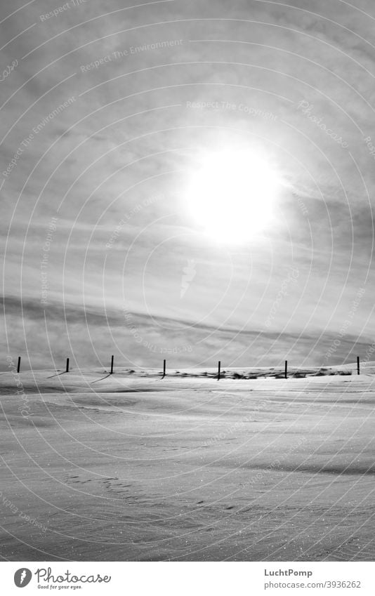 Snowy landscape in monochrome Snowscape Fence Fence post Meadow Sun overcast sky Cold Winter Exterior shot Deserted Sky Sunlight Shadow Frost Landscape Light