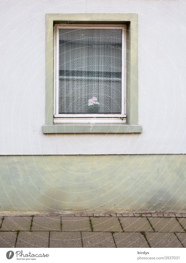 Old window in a residential house with curtain and a flower pot, muted colors. plain Window Facade Sidewalk unostentatious Gloomy Loneliness Flowerpot poor